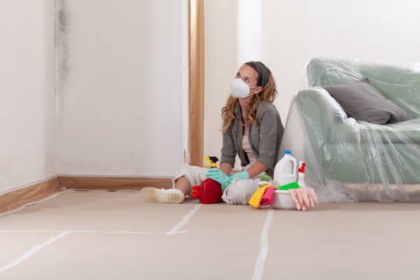 Reliable Black Mold Removal contractor in Mount Joy, PA by WQB Mold Removal
